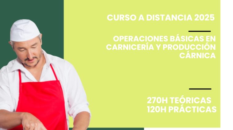 WEB CARNICERÍA MODALIDAD DISTANCIA. (2)